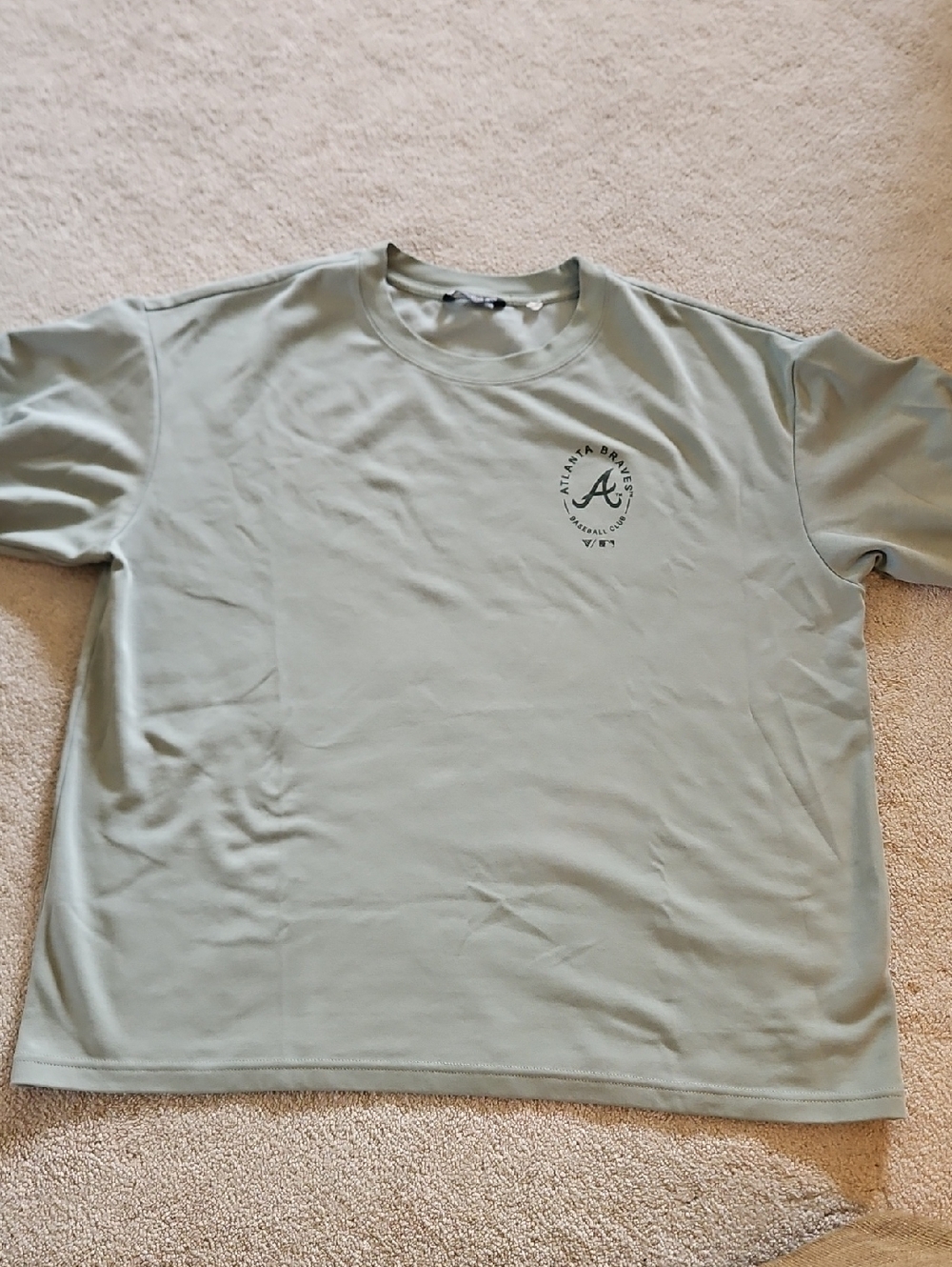 Men's Crew Neck T-Shirt in Light Sage Green